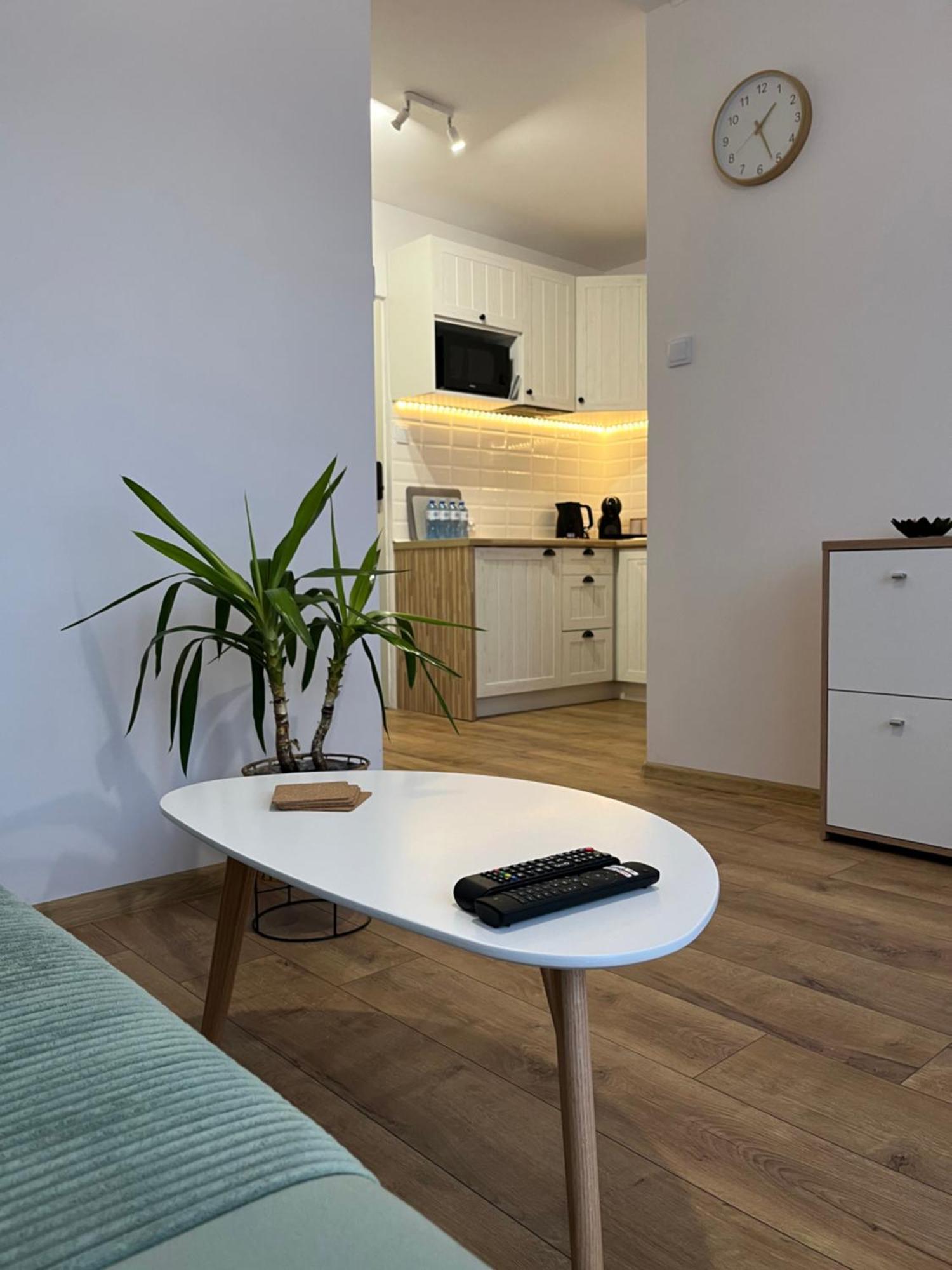 Apartament Rubinowy Stary Toruń Eksteriør bilde