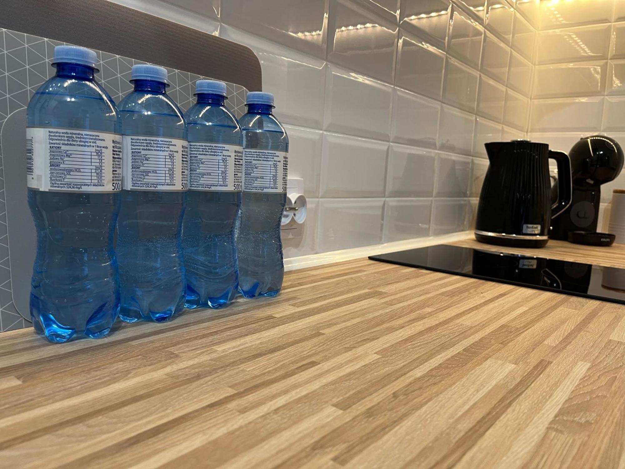 Apartament Rubinowy Stary Toruń Eksteriør bilde