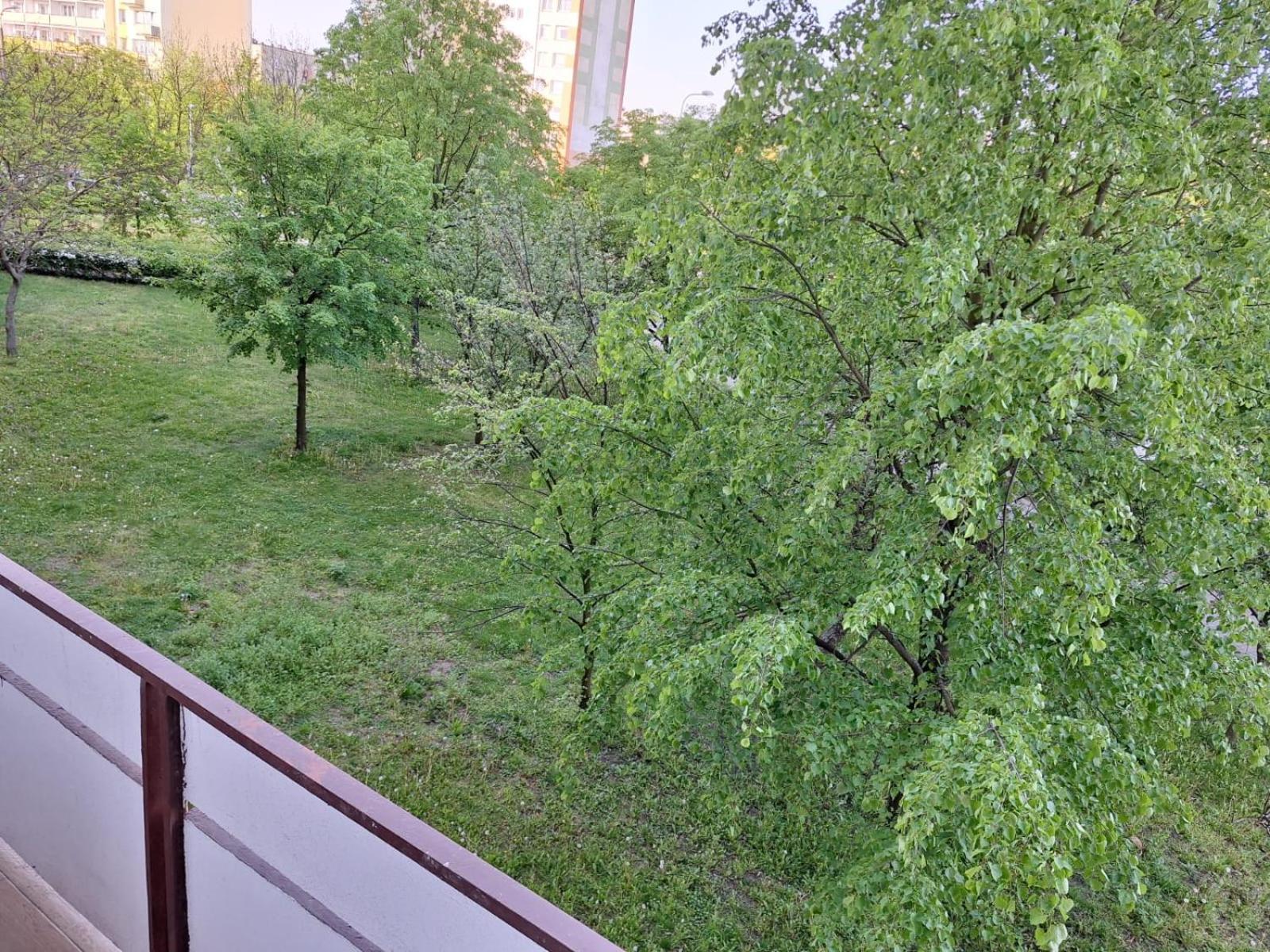 Apartament Rubinowy Stary Toruń Eksteriør bilde